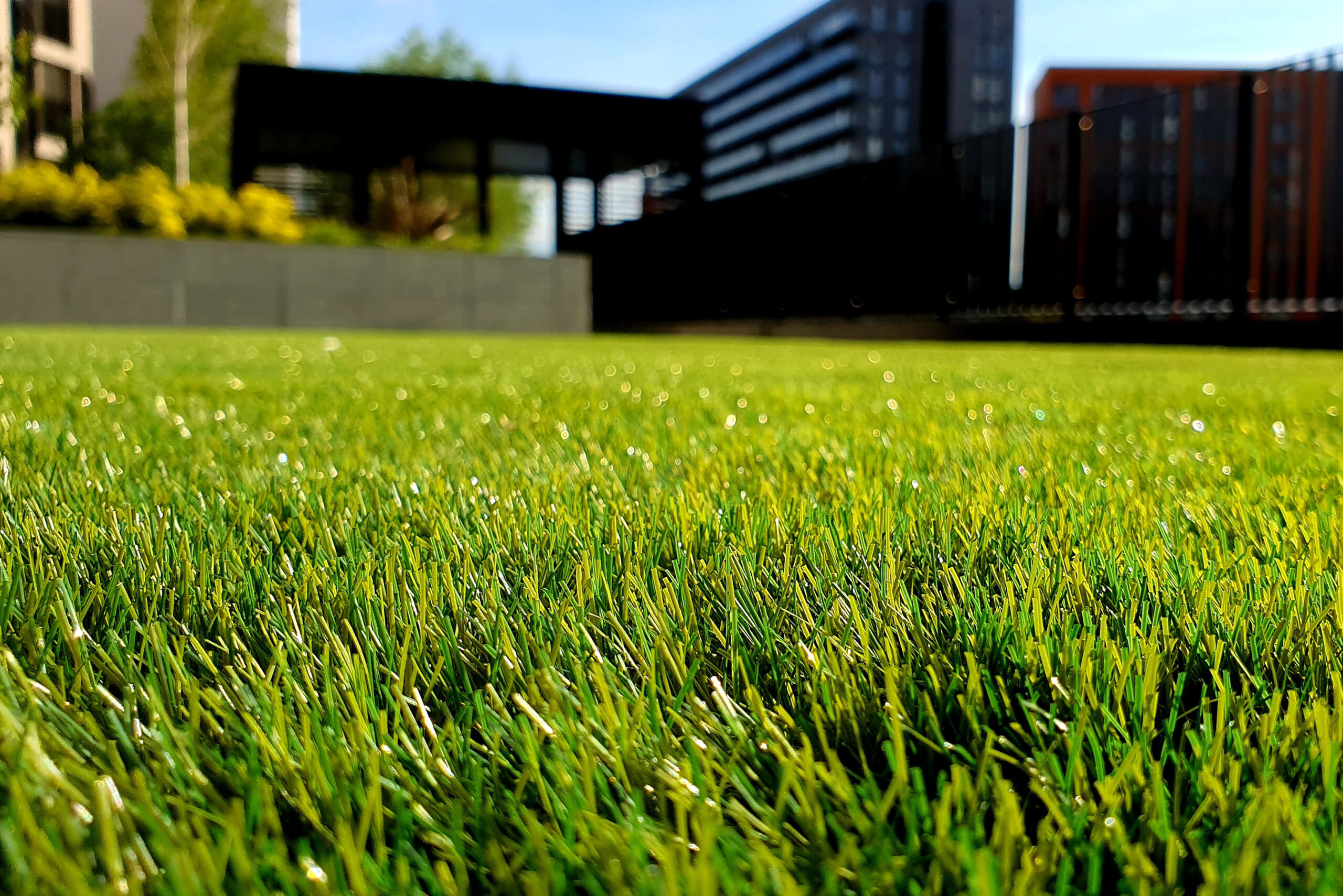 Well Maintained Lawn | Keep It Wet Concrete landscaper-gallery-02