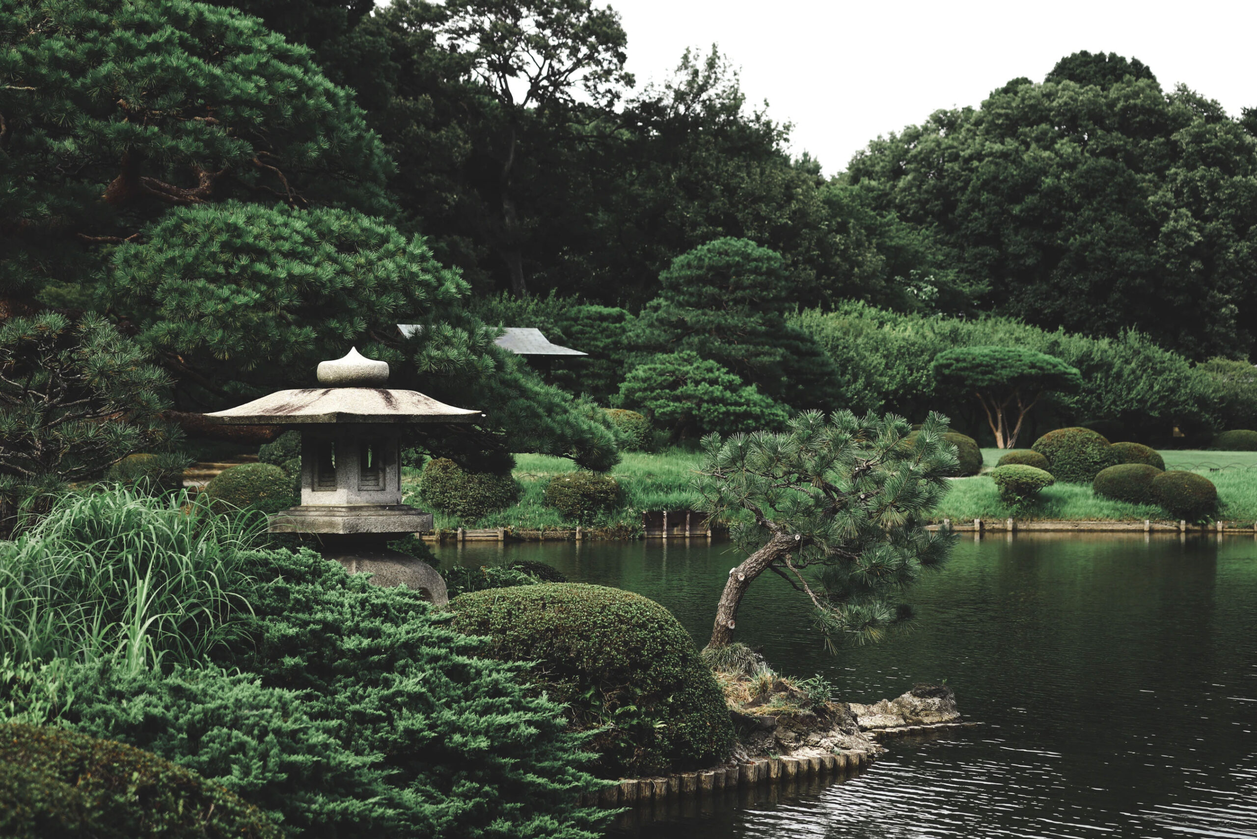 Zen Garden Trees | Keep It Wet Concrete landscaper-gallery-04