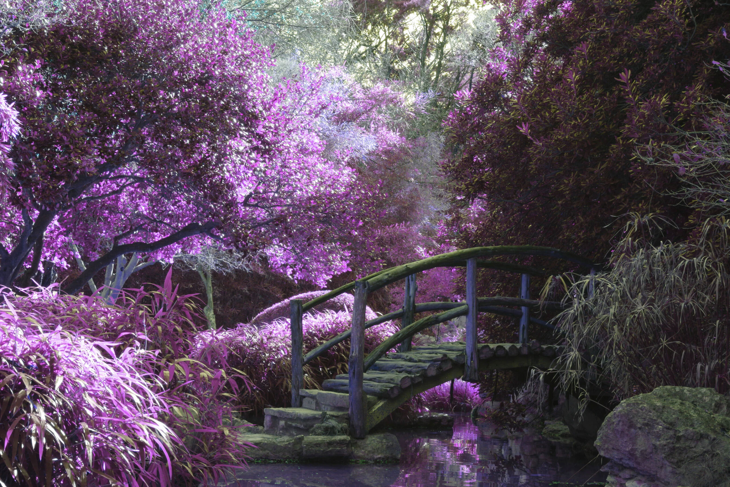 Purple Zen Garden Bridge | Keep It Wet Concrete landscaper-gallery-05